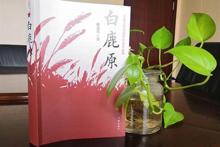 有哪些你很喜欢的句子或者个性签名？