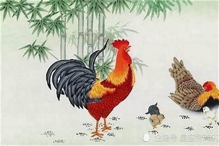 属马跟属鸡的姻缘怎么样 属鸡的和属马的谁厉害？