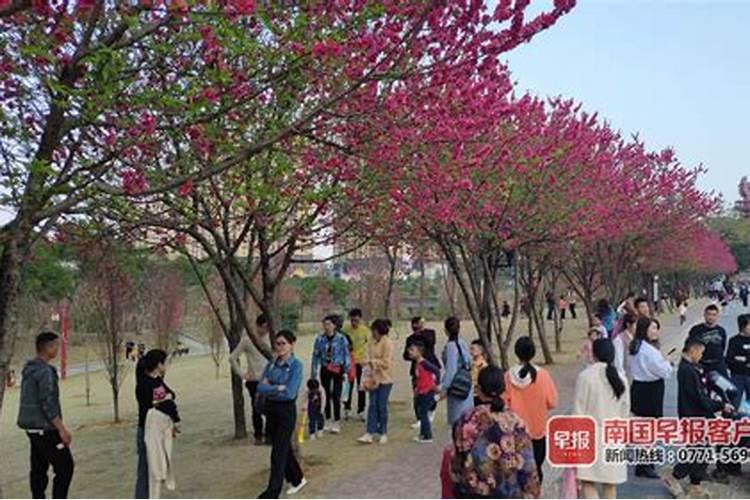 《四柱八字》命宫小限、流月运程的批法(仅供爱好者参考)