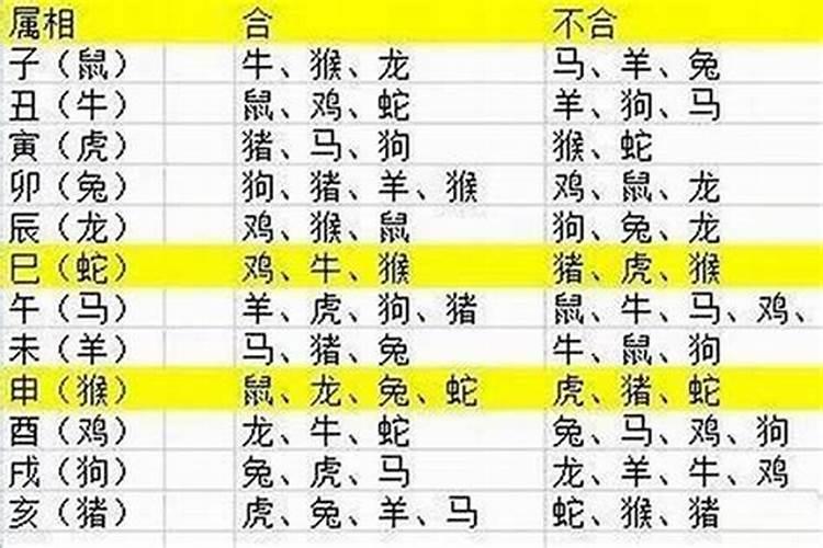 人间美味是什么生肖动物