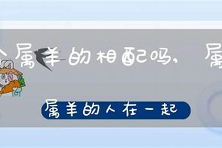 两口子都属羊好吗夫妻命运如何