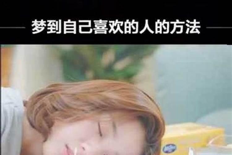 2025年什么生肖犯太岁