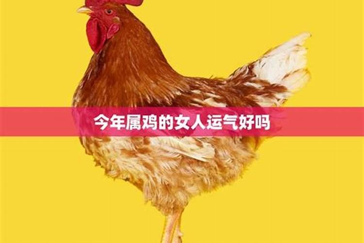 2025年6月属鸡人运势好转吗