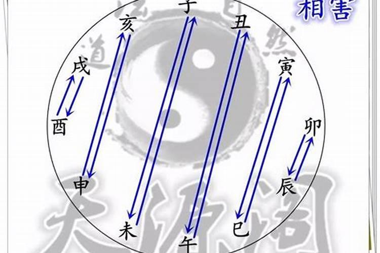 属相相害日柱相合可以婚配吗,属相婚配可信吗？