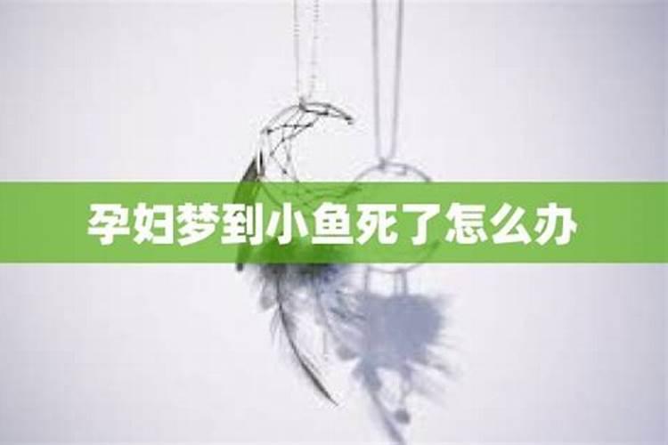 梦见小鱼的寓意 梦见小鱼是什么意思