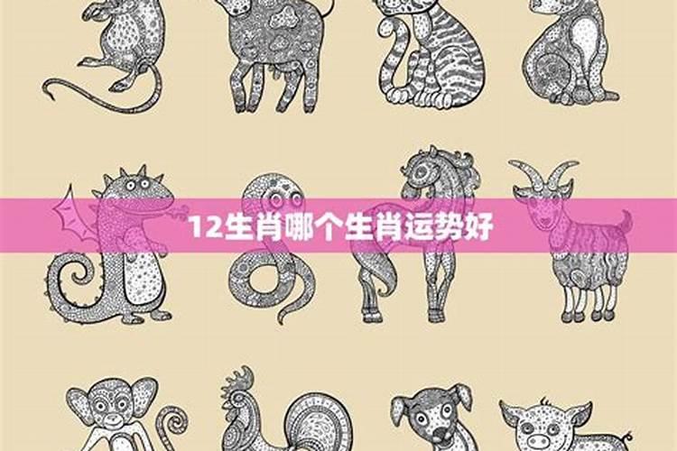 2026年属狗人的全年运势详解