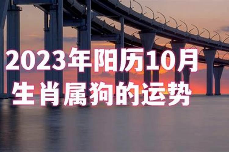 狗出生月份的命运属于狗出生在不同月份的命运
