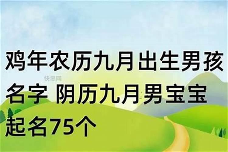 我的阳历生日是1990年10月26日,农历是九月初九,专家能帮我看看我运势...