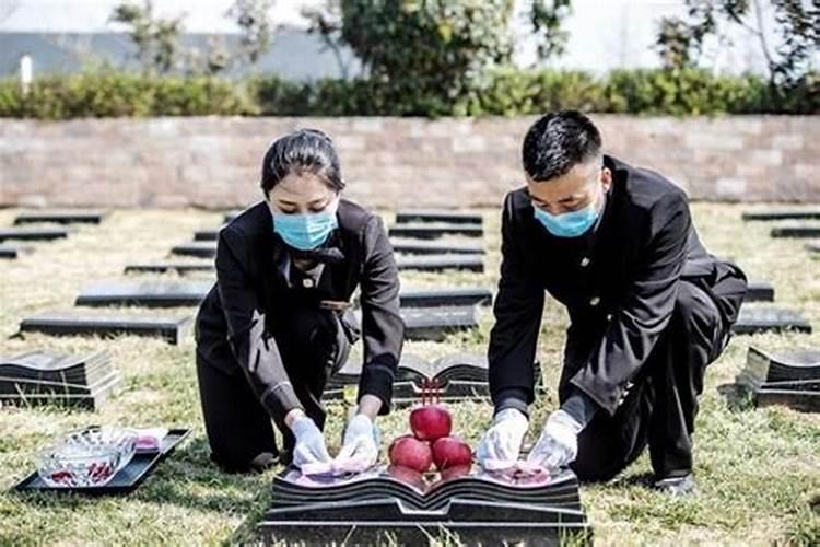 扫墓要带几个菜 扫墓要带什么
