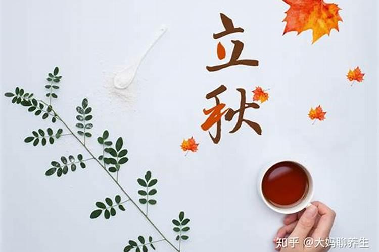 麦玲玲准不准？