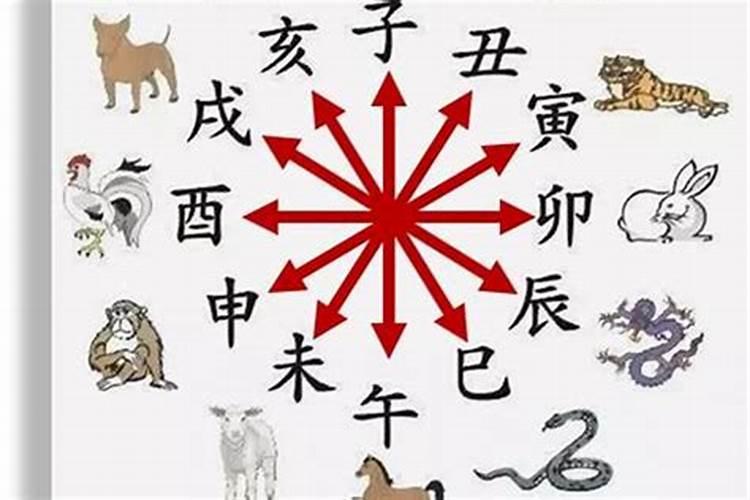 如何破解生肖六害