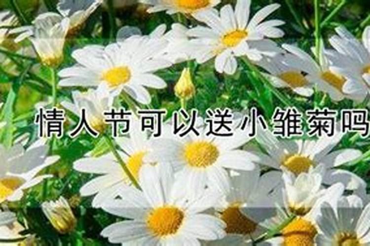 1995年属猪2025年婚姻怎么样