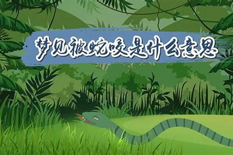 梦见被蛇咬了是什么意思周公解梦