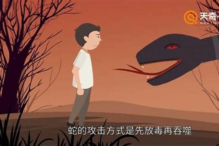 梦见被蛇咬了是什么意思周公解梦