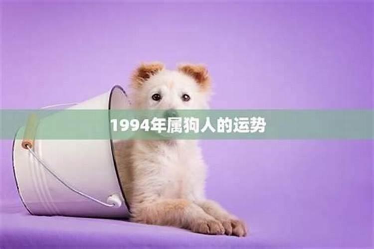 2025年最火三个生肖