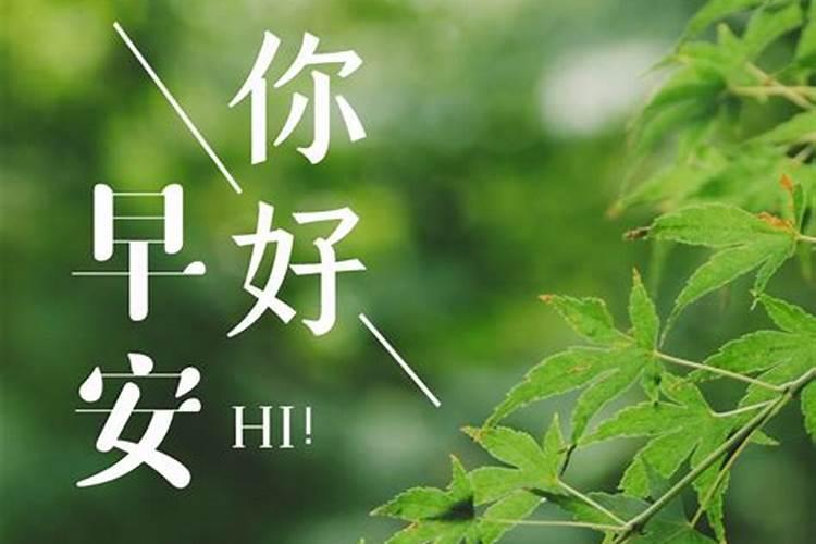 二月二十是什么日子