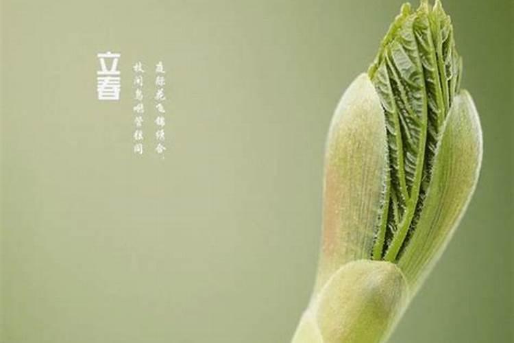 婚煞可以化解吗,犯驳婚煞什么意思,真的可以化解吗