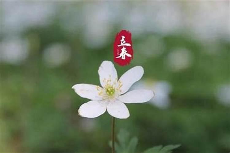 2025躲太岁是几点到几点