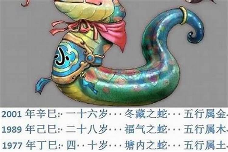 属蛇的和属狗的八字合伙生意怎么样 合不合财？