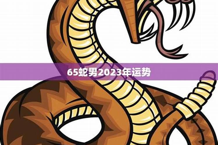 65年属蛇2025年运势如何