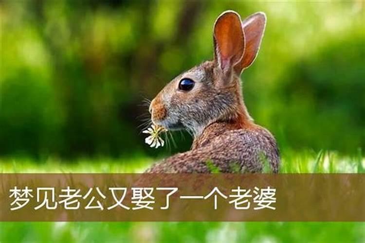已婚女人梦见老公又娶了一个老婆