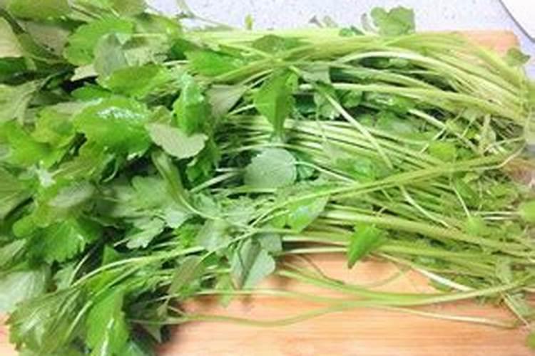 潮汕风俗