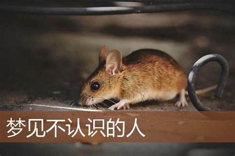 梦见跟好多不认识的人坐一起