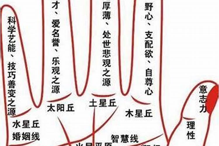 面相手相是什么意思
