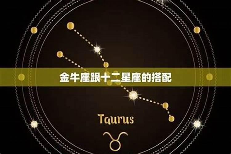 属马金牛座的男生和属羊天秤座女生