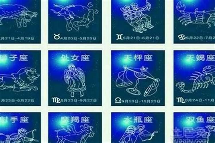 生肖看运势准吗？