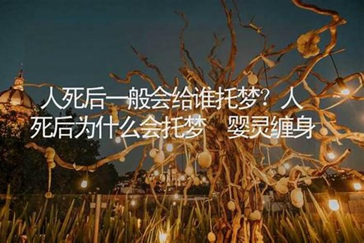 梦见小老虎扑向怀里的预兆