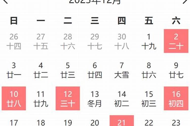 2025年的马全年运势如何