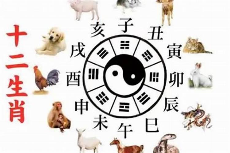 梦见和姐姐吵架是什么预兆