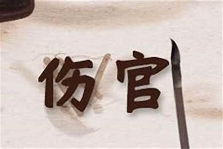 女命伤官代表什么