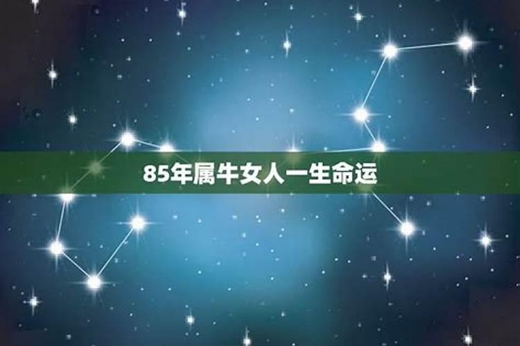 1985属牛的一生命运