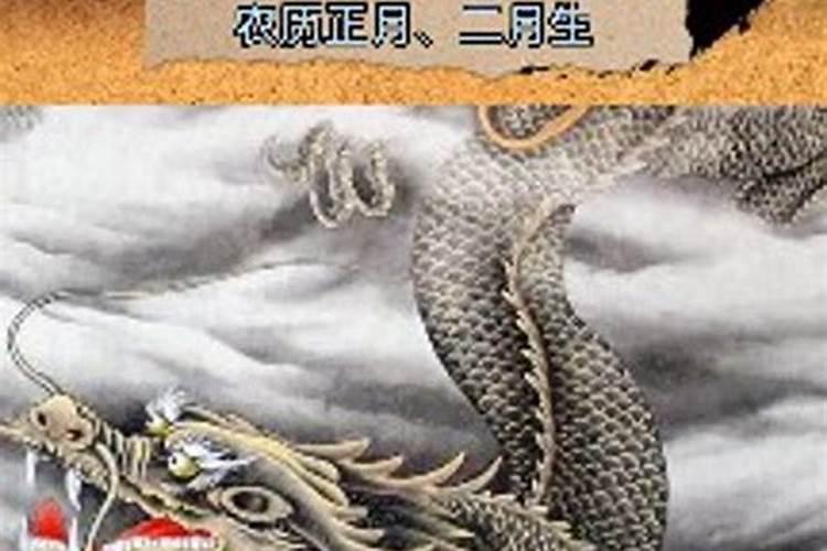 2000年属龙女正月生命运 2000年正月生的属龙女一生命运