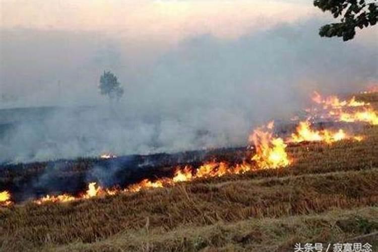 冲太岁、刑太岁、害太岁、破太岁、怎么回事？