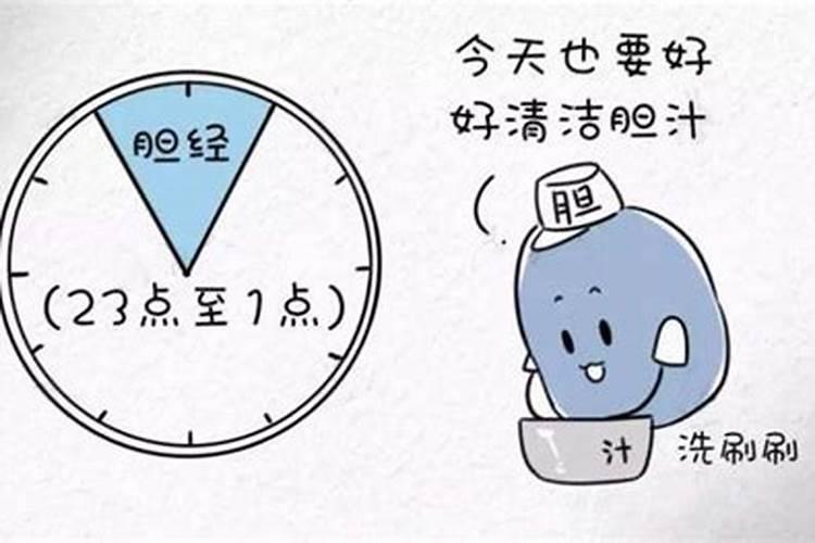 属鼠最配的属相是什么