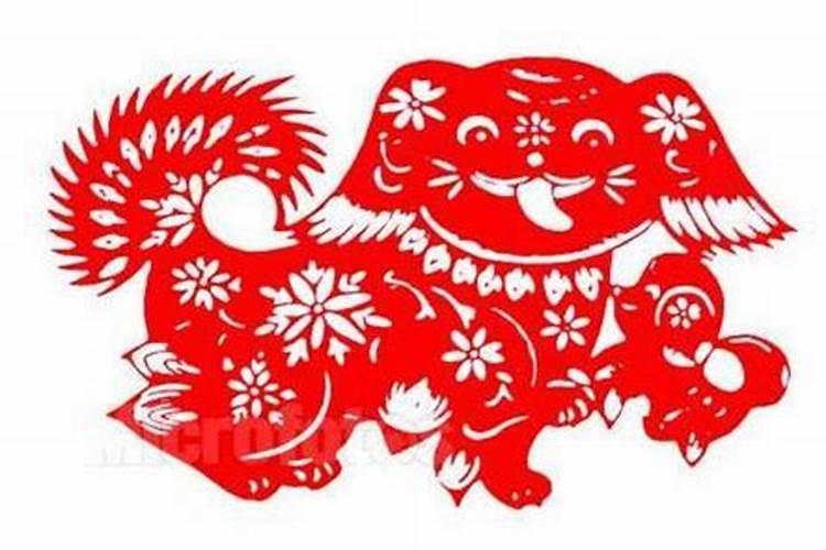 属猪的婚姻如何