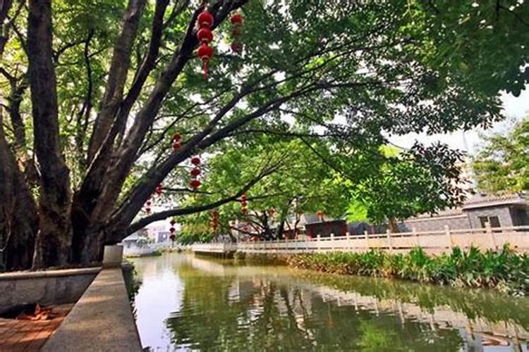 广州清明节适合去哪里旅游