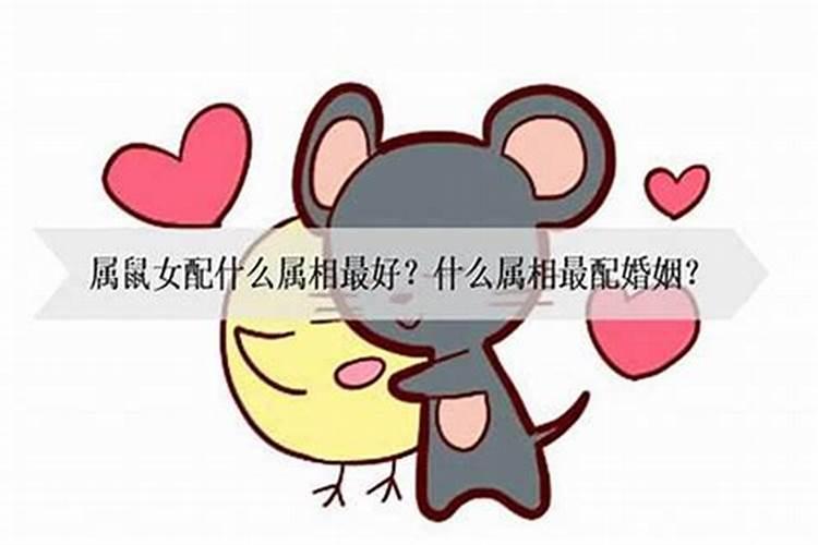 属鼠男人和属牛女人相配吗