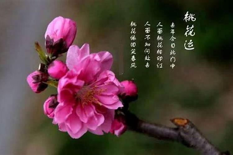 婚姻不顺佛法如何化解