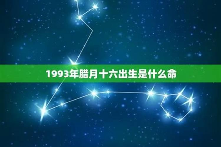 属马的人腊月出生的运势