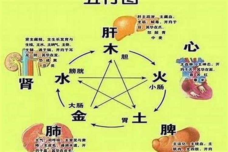 八字排盘八字排盘,八字排盘是什么？怎么排？
