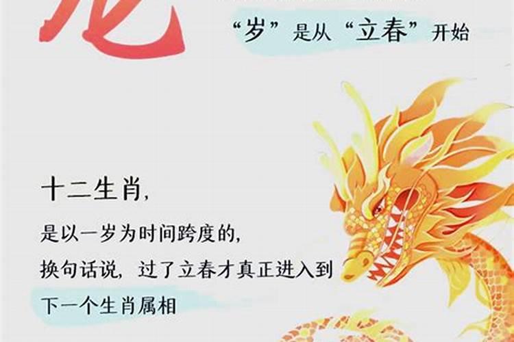 2001年农历正月初一生属龙还是属蛇