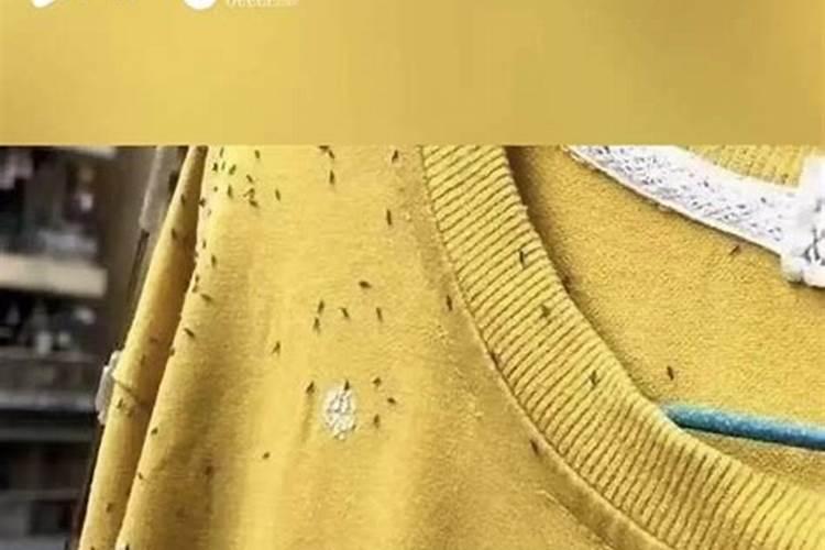 童子被收回去的征兆