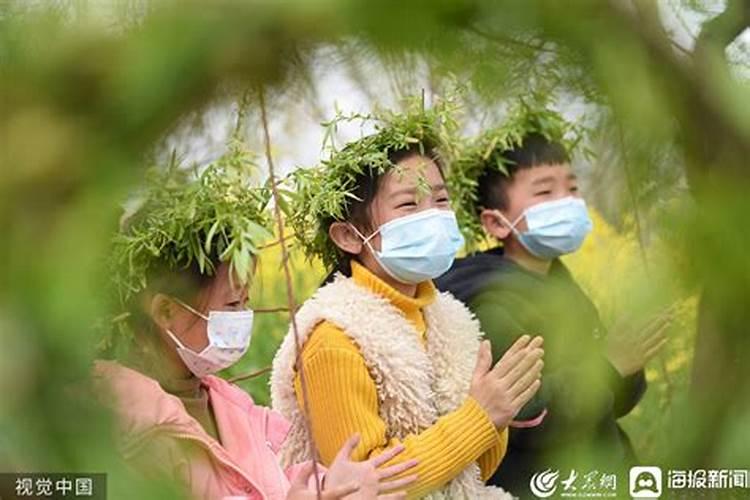 生肖为猪清明节出生的人命好吗？2024年运势怎么样？