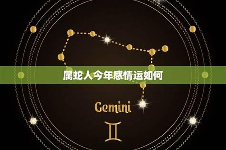 1977年属蛇人2024年运势及运程详解