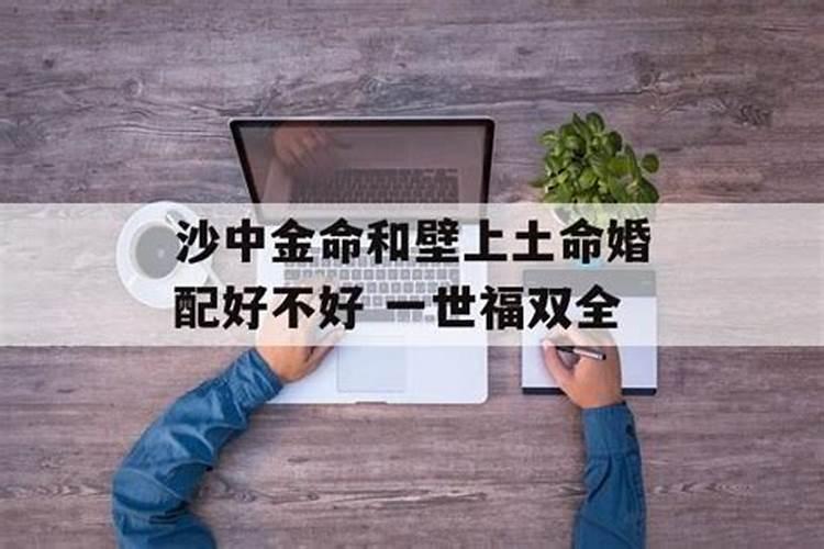 牛在2025年的每月运势如何呢