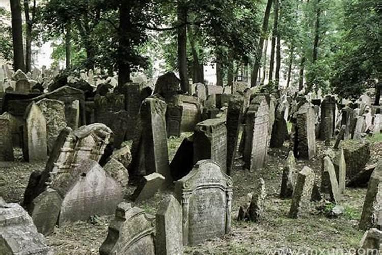 女人梦见死尸什么预兆
